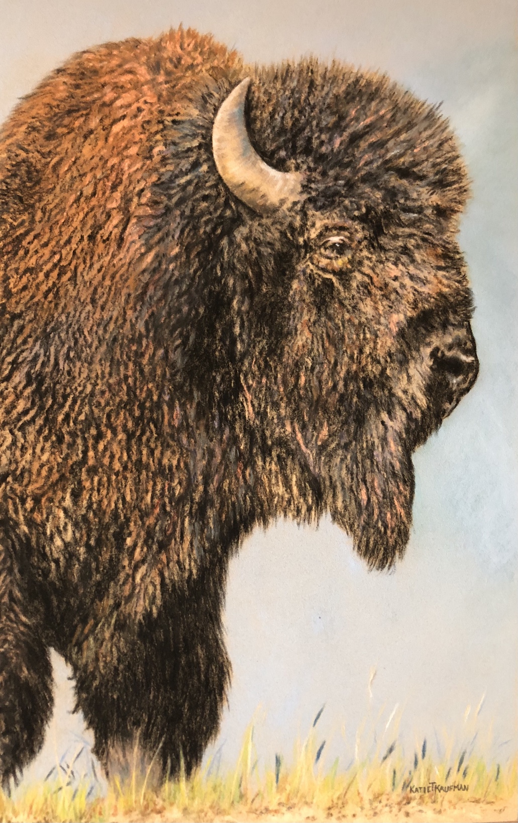 A painting of an animal with long hair