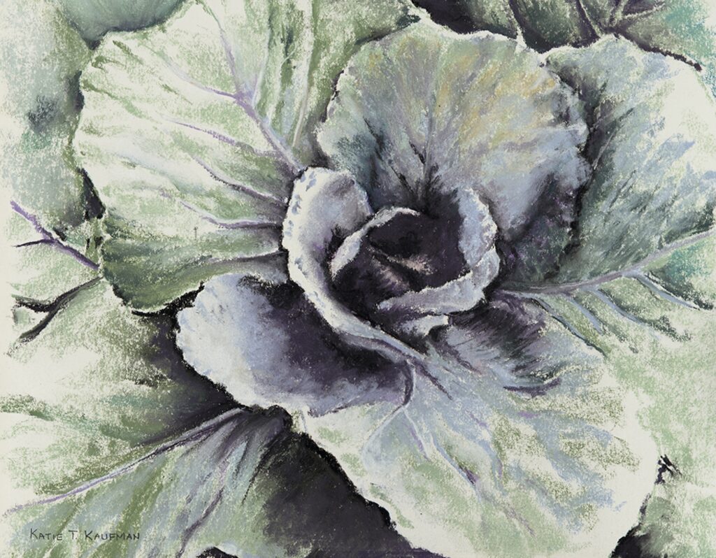 A close up of the flower of a cabbage plant