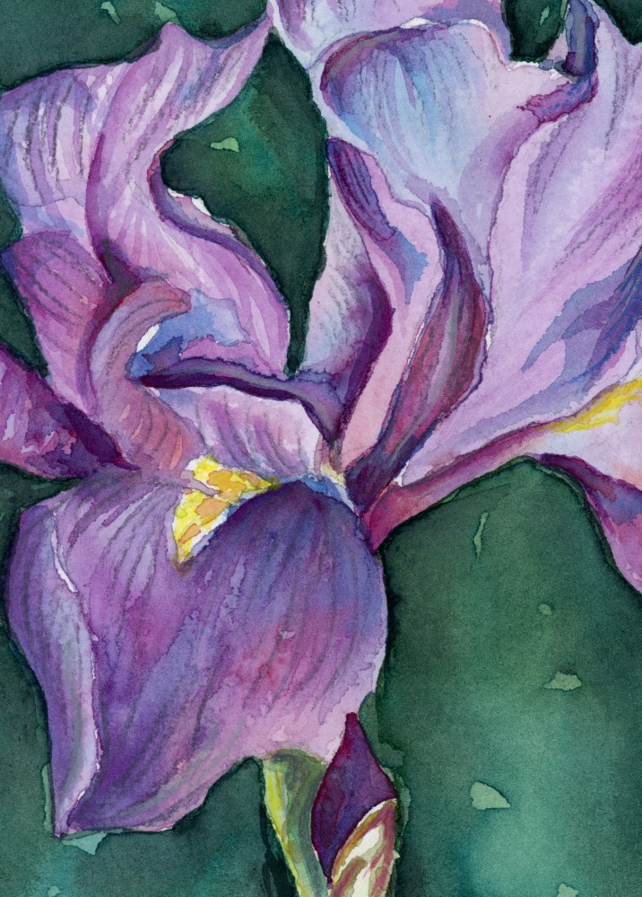 A painting of a purple flower with yellow stamen.