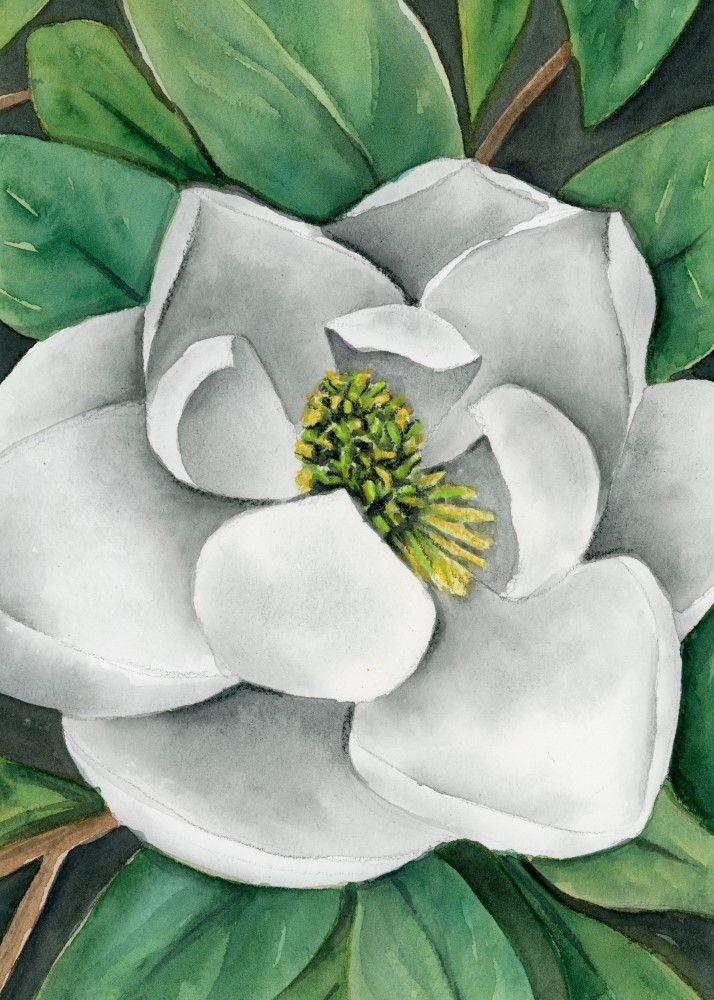 A painting of a white flower with green leaves.