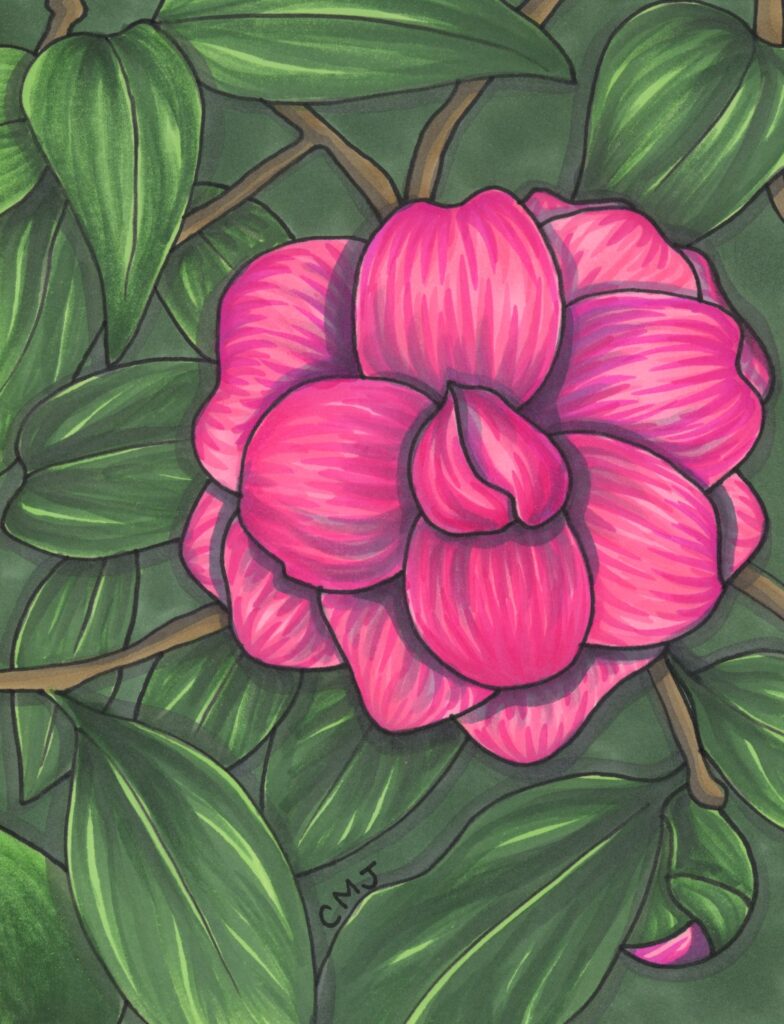 A painting of a pink flower with green leaves.