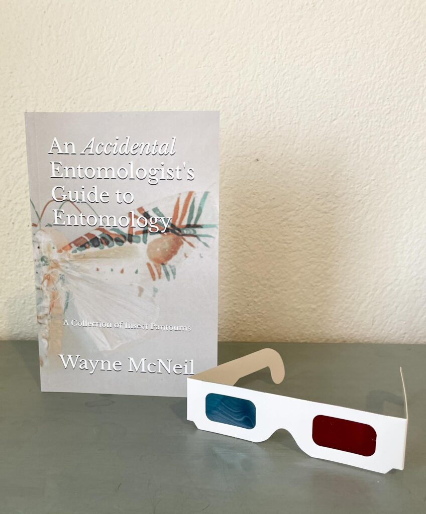 517154529_10230173214377646_8887746355397756703_n-1